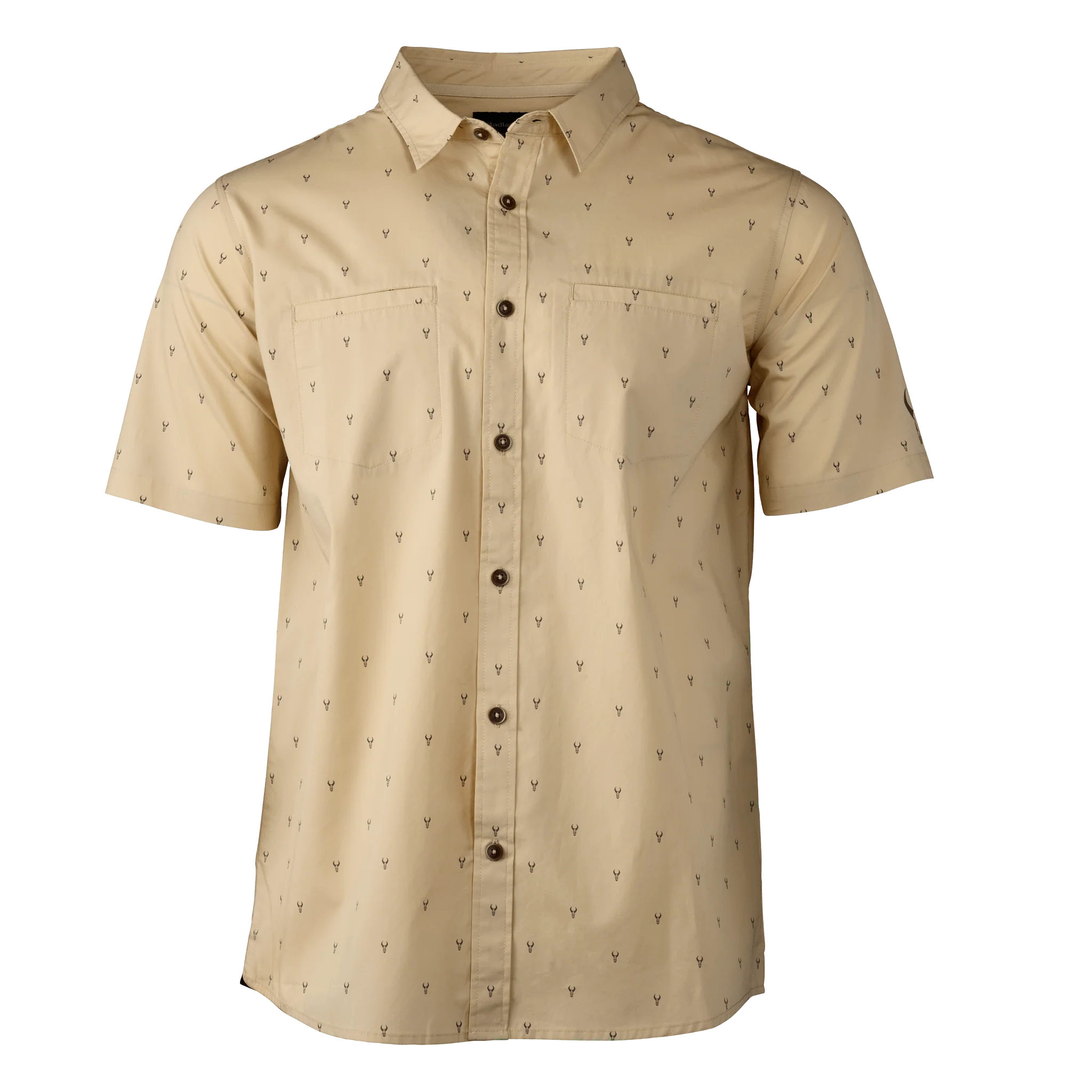 SPIFFY BUTTON DOWN SHIRT - Image 3