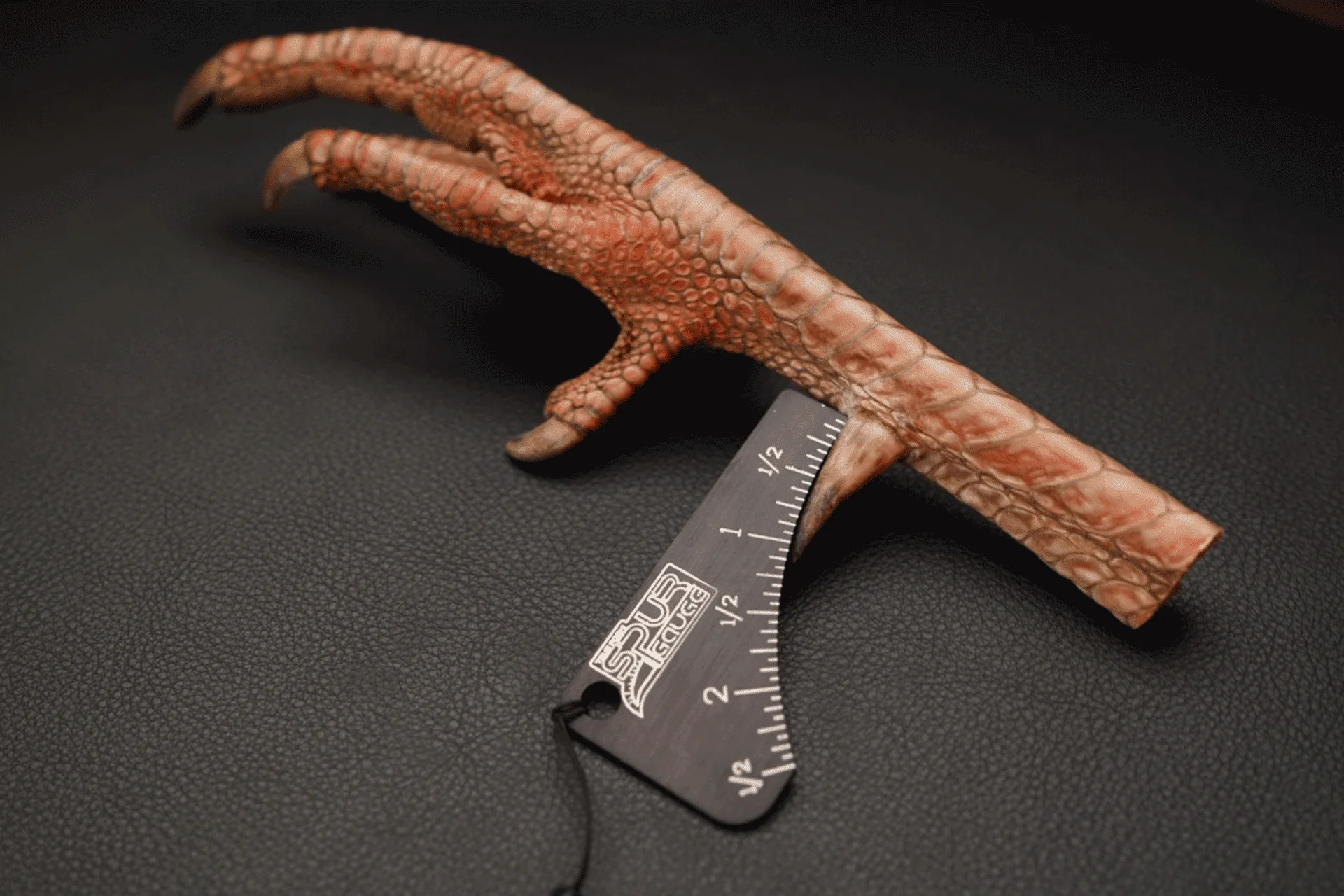 TRUE FORM SPUR GAUGE - Image 3